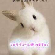 ヒメ日記 2025/09/15 20:49 投稿 りこ 横浜人妻花壇本店