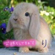 ヒメ日記 2025/09/27 09:17 投稿 りこ 横浜人妻花壇本店