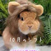 ヒメ日記 2025/09/28 07:29 投稿 りこ 横浜人妻花壇本店