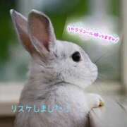 ヒメ日記 2025/09/30 12:47 投稿 りこ 横浜人妻花壇本店