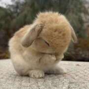 ヒメ日記 2025/10/19 07:59 投稿 りこ 横浜人妻花壇本店