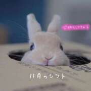 ヒメ日記 2025/10/20 22:45 投稿 りこ 横浜人妻花壇本店