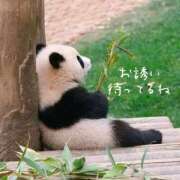 ヒメ日記 2025/11/08 23:56 投稿 りこ 横浜人妻花壇本店