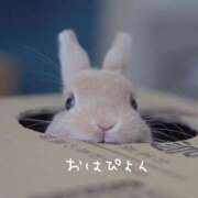 ヒメ日記 2025/12/14 08:24 投稿 りこ 横浜人妻花壇本店