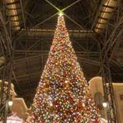 りこ Merry Christmas⭐︎ 横浜人妻花壇本店