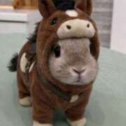 りこ 本日出勤日✨ 横浜人妻花壇本店