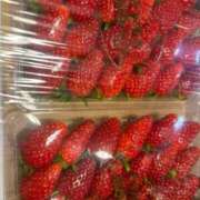 ヒメ日記 2026/03/09 20:33 投稿 川村 まほ 未経験の美人さん！ ファーストクラス ルビー