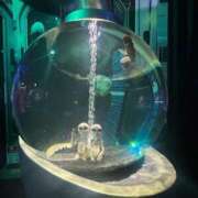 川村 まほ 未経験の美人さん！ おはよう！京都！ ファーストクラス ルビー