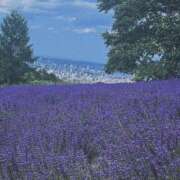 ヒメ日記 2025/07/28 23:29 投稿 すず アイドルドリーム