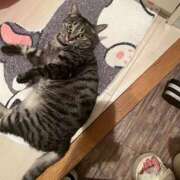 ヒメ日記 2025/08/04 15:13 投稿 すず アイドルドリーム