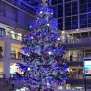 ヒメ日記 2025/12/23 09:19 投稿 すず アイドルドリーム