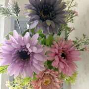 ヒメ日記 2026/02/16 12:29 投稿 すず アイドルドリーム