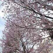 ヒメ日記 2026/04/21 17:09 投稿 すず アイドルドリーム