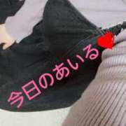 ヒメ日記 2025/03/18 13:20 投稿 あいる 乳野家