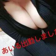 ヒメ日記 2025/03/21 12:07 投稿 あいる 乳野家