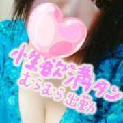 ヒメ日記 2025/04/29 12:10 投稿 あいる 乳野家