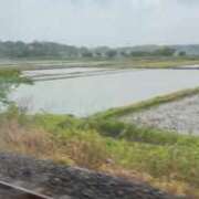 ヒメ日記 2025/05/06 11:42 投稿 ひなえ バイオレンス