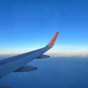 ヒメ日記 2025/08/01 12:45 投稿 ひなえ バイオレンス