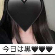 ヒメ日記 2025/02/27 11:06 投稿 ぐみ 変態なんでも鑑定団