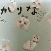 ヒメ日記 2025/02/19 11:49 投稿 かりな　奥様 SUTEKIな奥様は好きですか?