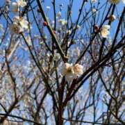 ヒメ日記 2025/02/14 10:22 投稿 いつき エマニエル