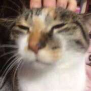 ヒメ日記 2025/02/27 09:02 投稿 いつき エマニエル