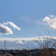 ヒメ日記 2025/03/04 09:22 投稿 いつき エマニエル