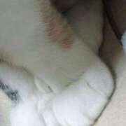 ヒメ日記 2025/04/18 19:02 投稿 いつき エマニエル