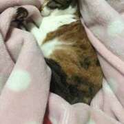 ヒメ日記 2026/01/09 20:32 投稿 いつき エマニエル