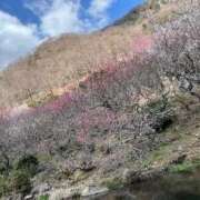 ヒメ日記 2026/03/08 10:22 投稿 いつき エマニエル