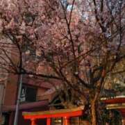 えりな　奥様 出勤 SUTEKIな奥様は好きですか?