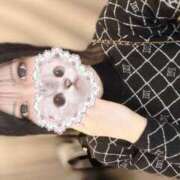 ヒメ日記 2025/04/03 10:27 投稿 あもん【いっぱい甘えちゃうぞ】 STELLA TOKYO－ステラトウキョウ－