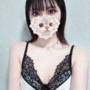 ヒメ日記 2025/06/04 13:22 投稿 あもん【いっぱい甘えちゃうぞ】 STELLA TOKYO－ステラトウキョウ－