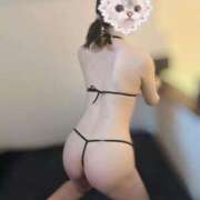 ヒメ日記 2025/06/18 12:44 投稿 あもん【いっぱい甘えちゃうぞ】 STELLA TOKYO－ステラトウキョウ－