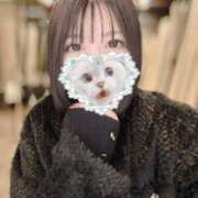 ヒメ日記 2025/11/08 10:21 投稿 あもん【いっぱい甘えちゃうぞ】 STELLA TOKYO－ステラトウキョウ－