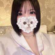 ヒメ日記 2025/11/12 13:09 投稿 あもん【いっぱい甘えちゃうぞ】 STELLA TOKYO－ステラトウキョウ－