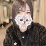 ヒメ日記 2025/11/24 10:11 投稿 あもん【いっぱい甘えちゃうぞ】 STELLA TOKYO－ステラトウキョウ－