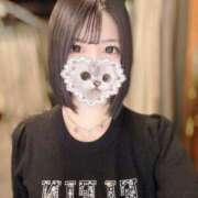 ヒメ日記 2025/11/25 10:10 投稿 あもん【いっぱい甘えちゃうぞ】 STELLA TOKYO－ステラトウキョウ－