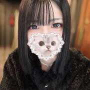 ヒメ日記 2025/12/08 10:10 投稿 あもん【いっぱい甘えちゃうぞ】 STELLA TOKYO－ステラトウキョウ－