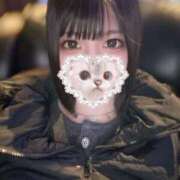 ヒメ日記 2025/12/17 12:50 投稿 あもん【いっぱい甘えちゃうぞ】 STELLA TOKYO－ステラトウキョウ－