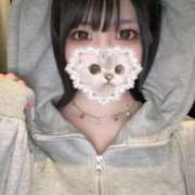 ヒメ日記 2026/01/15 14:46 投稿 あもん【いっぱい甘えちゃうぞ】 STELLA TOKYO－ステラトウキョウ－