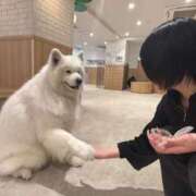 ヒメ日記 2026/10/21 16:04 投稿 あもん【いっぱい甘えちゃうぞ】 STELLA TOKYO－ステラトウキョウ－