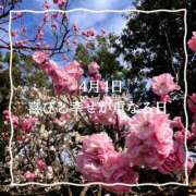 ヒメ日記 2025/04/04 05:21 投稿 ななえ　奥様 SUTEKIな奥様は好きですか?