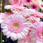 ヒメ日記 2025/04/18 05:27 投稿 ななえ　奥様 SUTEKIな奥様は好きですか?