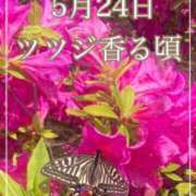 ヒメ日記 2025/05/24 12:13 投稿 ななえ　奥様 SUTEKIな奥様は好きですか?