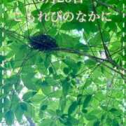 ヒメ日記 2025/06/20 05:18 投稿 ななえ　奥様 SUTEKIな奥様は好きですか?