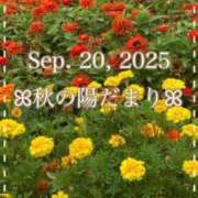 ななえ　奥様 《想いひとひら…》 SUTEKIな奥様は好きですか?