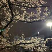 ヒメ日記 2025/03/31 23:04 投稿 花崎 BBW錦糸町店