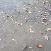 ヒメ日記 2025/11/23 22:04 投稿 花崎 BBW錦糸町店