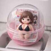 ヒメ日記 2026/04/13 12:35 投稿 花崎 BBW錦糸町店